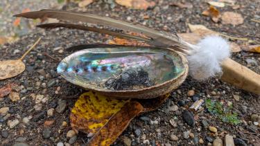Smudge bowl with feather